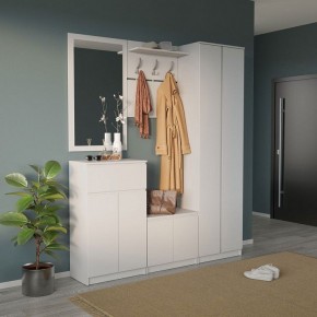 Шкаф платяной ШО-4 в Снежинске - snezhinsk.mebel24.online | фото 6