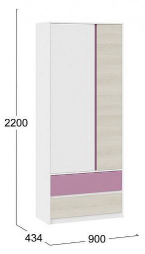 Шкаф платяной Сканди в Снежинске - snezhinsk.mebel24.online | фото 5