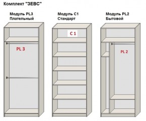 Шкаф распашной серия «ЗЕВС» (PL3/С1/PL2) в Снежинске - snezhinsk.mebel24.online | фото 2