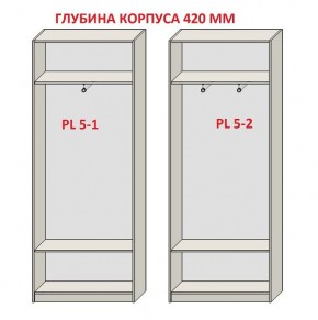 Шкаф распашной серия «ЗЕВС» (PL3/С1/PL2) в Снежинске - snezhinsk.mebel24.online | фото 8