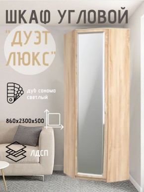Шкаф угловой Дуэт Люкс с зеркалом в Снежинске - snezhinsk.mebel24.online | фото