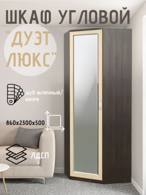 Шкаф угловой Дуэт Люкс с зеркалом в Снежинске - snezhinsk.mebel24.online | фото 5
