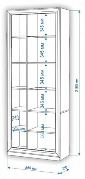 Шкаф-витрина Нобиле ШВтВ-ФСД-БЯН в Снежинске - snezhinsk.mebel24.online | фото 3