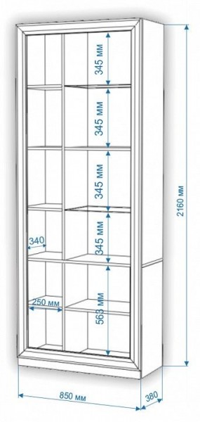 Шкаф-витрина Нобиле ШВтВ-ФСД-ФГК в Снежинске - snezhinsk.mebel24.online | фото 3