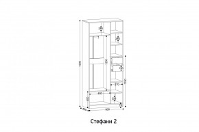 СТЕФАНИ-2 Шкаф в Снежинске - snezhinsk.mebel24.online | фото 2
