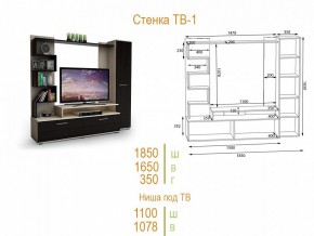 Стенка для гостиной ТВ-1 в Снежинске - snezhinsk.mebel24.online | фото 2