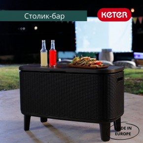 Стол Беви Бар (Bevy Bar Large Cool Bar), графит в Снежинске - snezhinsk.mebel24.online | фото 4