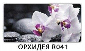 Стол Бриз с фотопечатью Лайм R156 в Снежинске - snezhinsk.mebel24.online | фото 10