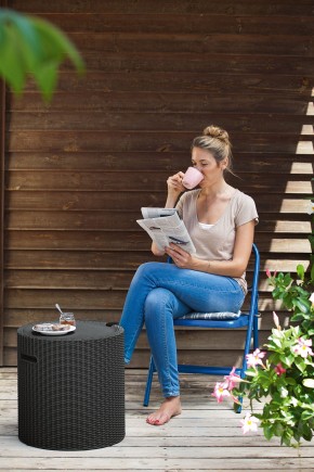 Столик-холодильник Кул-Стул (Cool stool) коричневый в Снежинске - snezhinsk.mebel24.online | фото 2