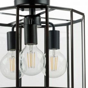 Светильник на штанге Lightstar Genni 798237 в Снежинске - snezhinsk.mebel24.online | фото 4