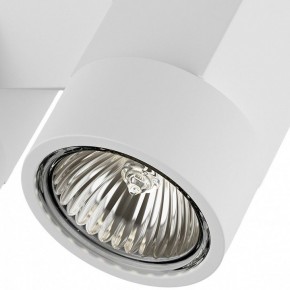 Светильник на штанге Lightstar Illumo X2 051036 в Снежинске - snezhinsk.mebel24.online | фото 2