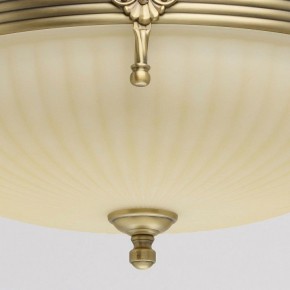 Светильник на штанге MW-Light Афродита 1 317011504 в Снежинске - snezhinsk.mebel24.online | фото 4