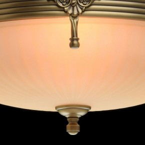 Светильник на штанге MW-Light Афродита 1 317011504 в Снежинске - snezhinsk.mebel24.online | фото 5