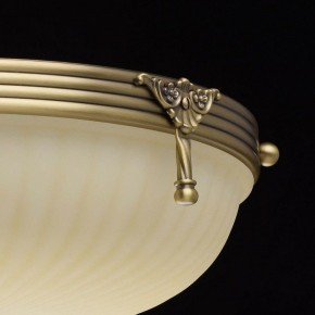Светильник на штанге MW-Light Афродита 1 317011504 в Снежинске - snezhinsk.mebel24.online | фото 8