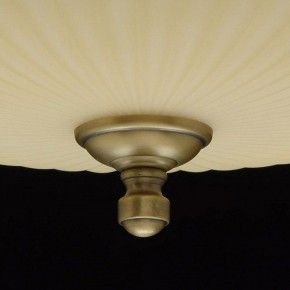 Светильник на штанге MW-Light Афродита 1 317011504 в Снежинске - snezhinsk.mebel24.online | фото 9