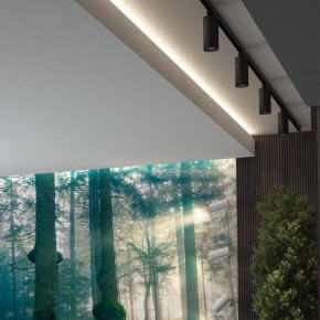 Светильник на штанге Novotech Dep 358595 в Снежинске - snezhinsk.mebel24.online | фото 3