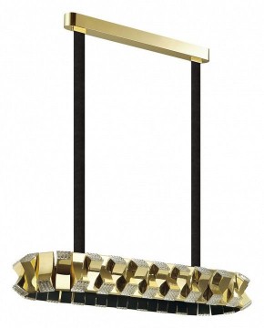 Светильник на штанге Odeon Light Asturo 4993/80LA в Снежинске - snezhinsk.mebel24.online | фото 3
