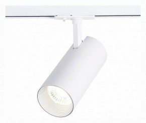 Светильник на штанге ST-Luce Mono ST350.536.30.36 в Снежинске - snezhinsk.mebel24.online | фото 2