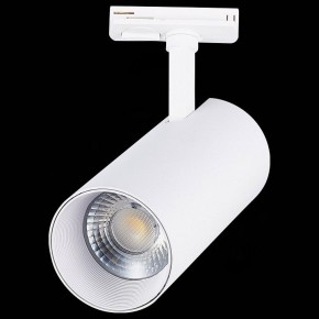 Светильник на штанге ST-Luce Mono ST350.536.30.36 в Снежинске - snezhinsk.mebel24.online | фото 6
