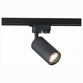 Светильник на штанге ST-Luce Solt ST300.406.01 в Снежинске - snezhinsk.mebel24.online | фото 1