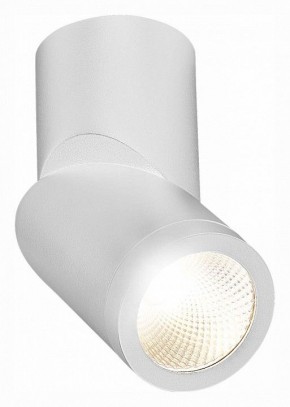 Светильник на штанге ST-Luce ST650 ST650.542.10 в Снежинске - snezhinsk.mebel24.online | фото 3