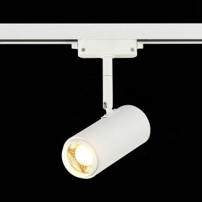 Светильник на штанге ST-Luce Zoom ST600.536.12 в Снежинске - snezhinsk.mebel24.online | фото 4