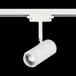 Светильник на штанге ST-Luce Zoom ST600.546.12 в Снежинске - snezhinsk.mebel24.online | фото 5