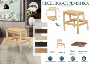 Табурет Стремянка в Снежинске - snezhinsk.mebel24.online | фото 6