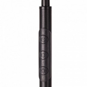 Торшер Citilux Alex CL804051 в Снежинске - snezhinsk.mebel24.online | фото 4