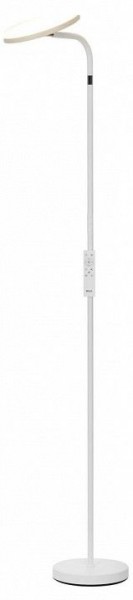 Торшер Citilux SOLO CL804060 в Снежинске - snezhinsk.mebel24.online | фото