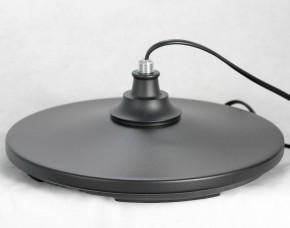 Торшер Lussole Greene LSP-0572 в Снежинске - snezhinsk.mebel24.online | фото 4