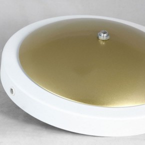 Торшер Lussole LSP-062 LSP-0625 в Снежинске - snezhinsk.mebel24.online | фото 2