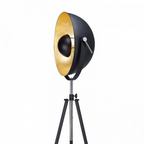 Торшер Lussole Sherrelwood LSP-9824 в Снежинске - snezhinsk.mebel24.online | фото 2