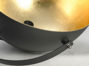 Торшер Lussole Sherrelwood LSP-9824 в Снежинске - snezhinsk.mebel24.online | фото 4