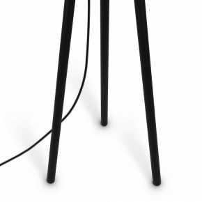 Торшер Maytoni Calvin Z177FL-01B в Снежинске - snezhinsk.mebel24.online | фото 7