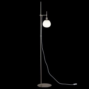 Торшер Maytoni Erich MOD221-FL-01-N в Снежинске - snezhinsk.mebel24.online | фото 2