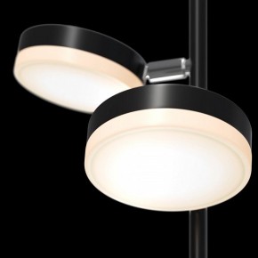 Торшер Maytoni Fad MOD070FL-L12B3K в Снежинске - snezhinsk.mebel24.online | фото