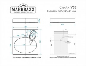 Умывальник над стиральной машиной (600*545*80) Смайл V55D1 (белый) с кронштейном без сифона (V55D1) в Снежинске - snezhinsk.mebel24.online | фото 2