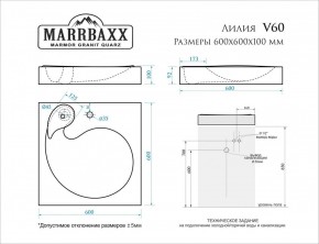 Умывальник над стиральной машиной (600*600х100) Лилия V60 (белый) с кронштейном без сифона (V60) в Снежинске - snezhinsk.mebel24.online | фото 2