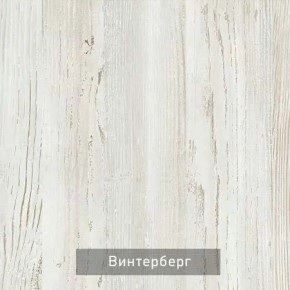 ВИНТЕР - 6.16 Шкаф-купе 1600 без зеркала в Снежинске - snezhinsk.mebel24.online | фото 5