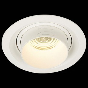 Встраиваемый светильник ST-Luce Zoom ST701.538.12 в Снежинске - snezhinsk.mebel24.online | фото 4